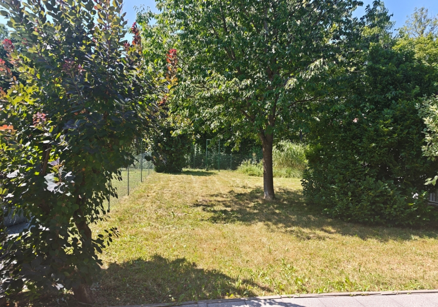 Großzügiger Gartenbereich des Doppelhauses