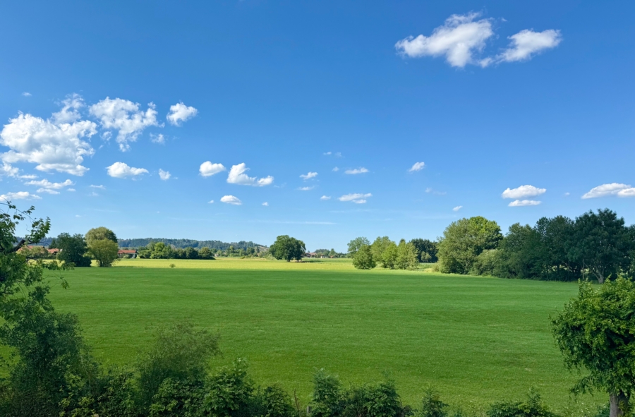 Blick aus dem Küchenfenster