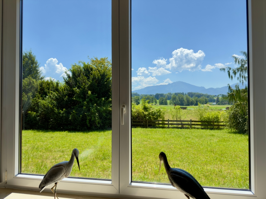Freier Blick über angrenzende Wiesen und Felder