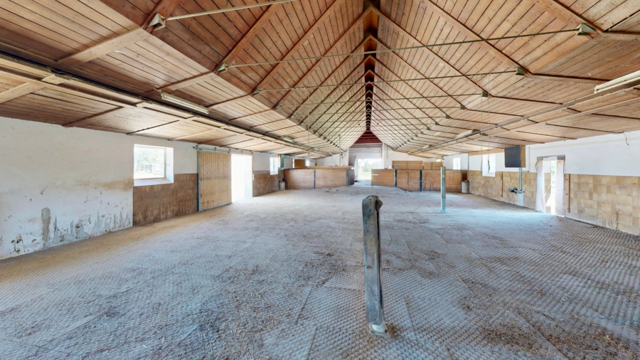 Lichtdurchflutete Reit- und Bewegungshalle